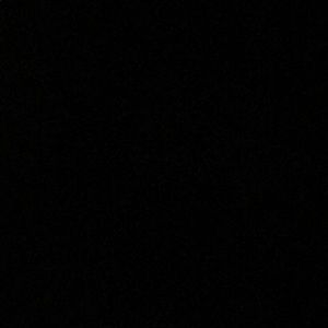 Meet your Posher, Chase